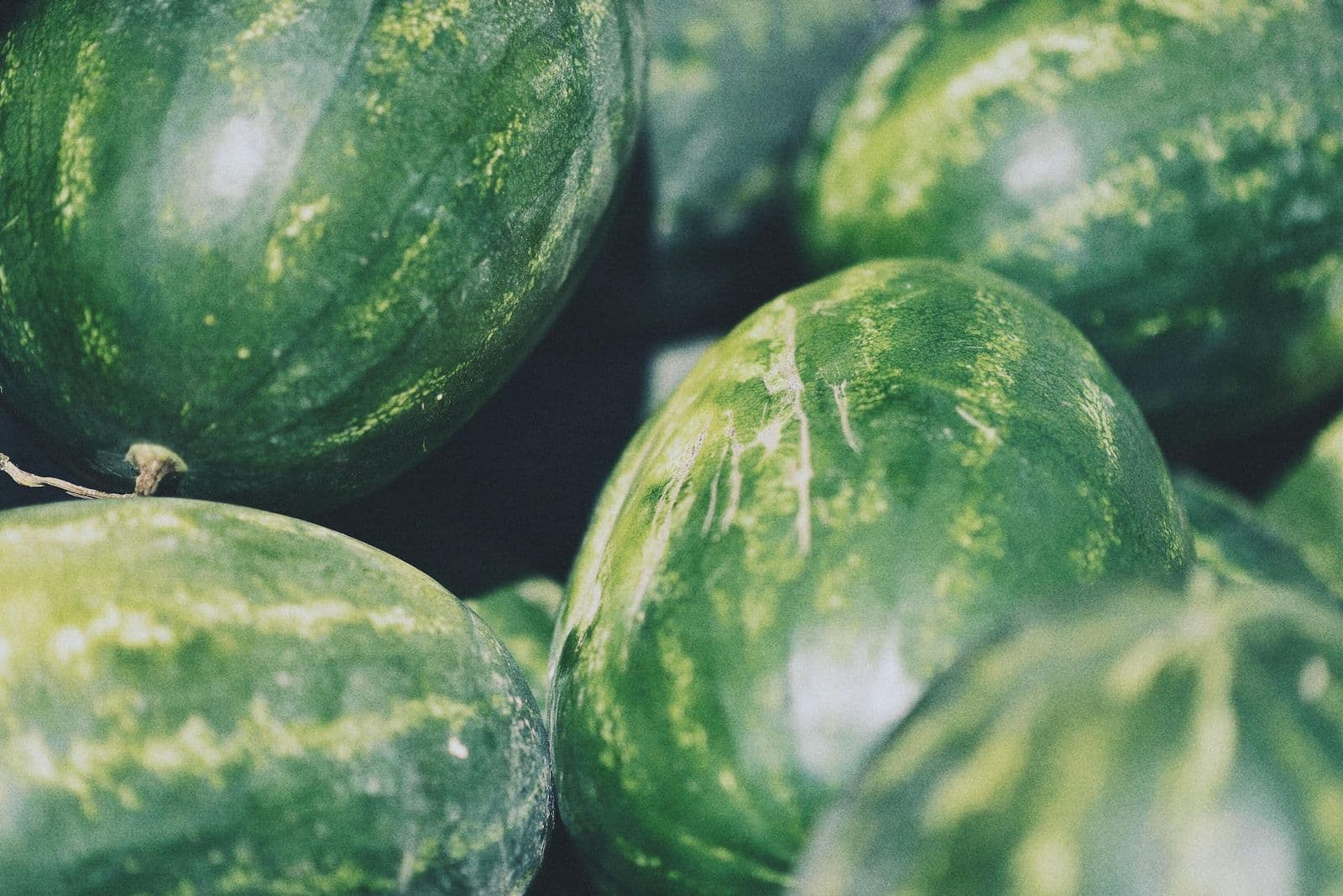 How to Cut a Watermelon into Bite Size Fruit Sticks