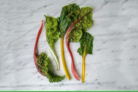 Swiss Chard